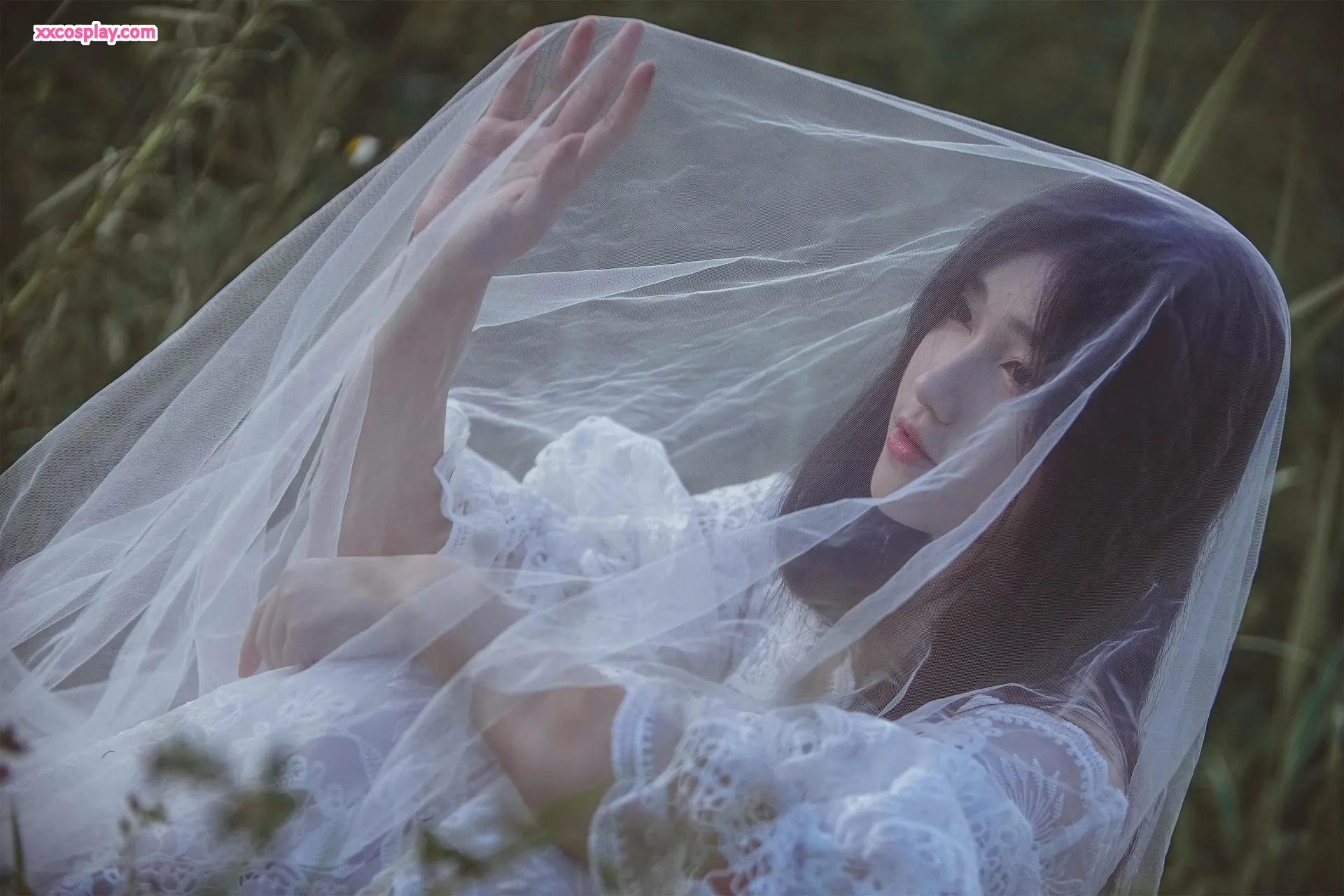 Ethereal Lace & Playful Catgirl ni Nantao Momoko